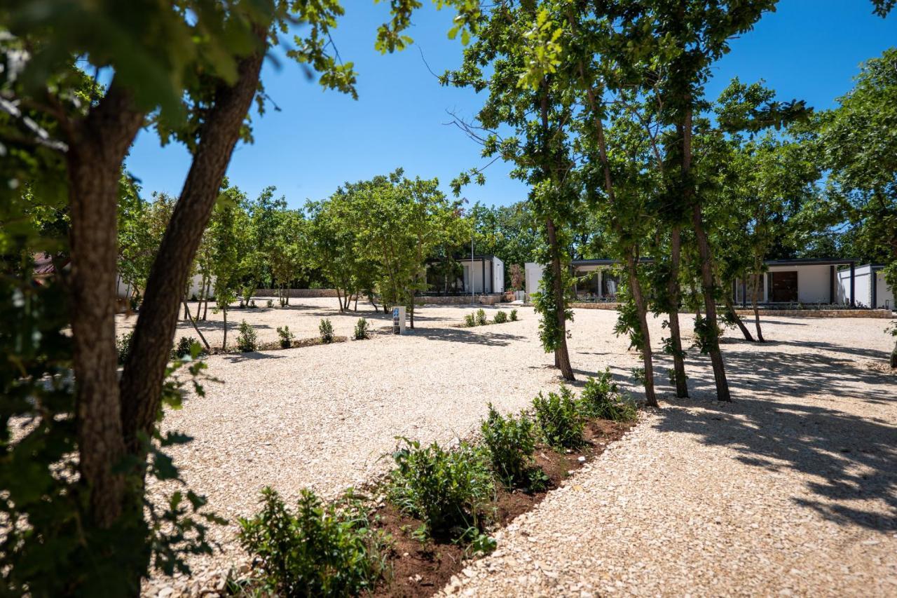 Dionis Camping Zaton (Zadar)